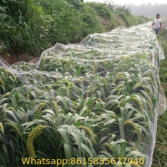 customizable various agricultural anti bird netting