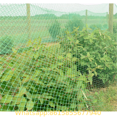 white agricultural anti insect net
