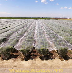 100% HDPE Insect Proof Net Plastic Agricultural Greenhouse Anti