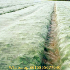 agricultural product fruit fly nets /vegetables anti fly net /greenhouse anti insect net for agriculture