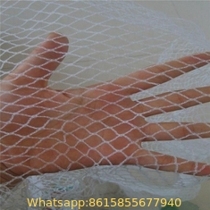 Polyester mesh fabric white plastic anti hail net for greenhouse 5m width