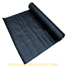 China Heavy Duty Landscape Fabric PP Ground Cover Weed Block  fabric weed barrier