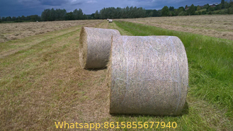 100% Virgin HDPE biodegradable bale wrap net farming used